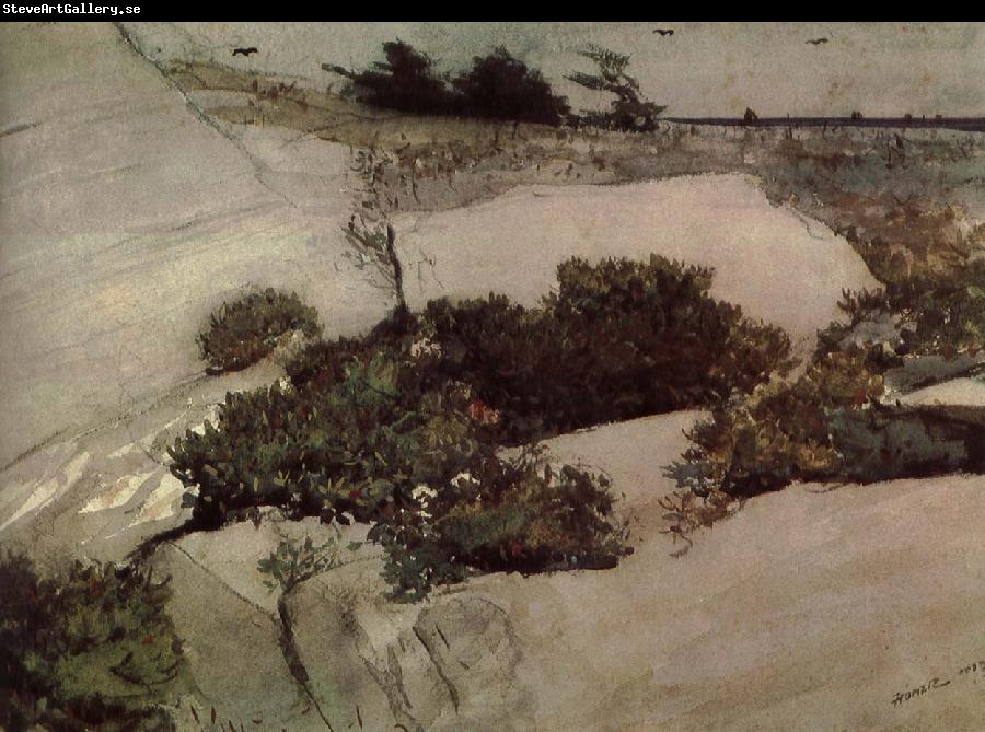 Winslow Homer Maine cliffs